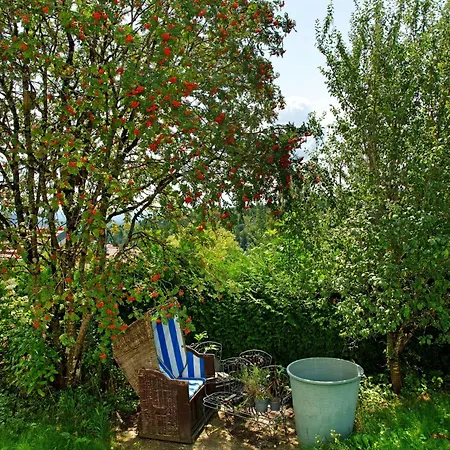 Holiday home Sonnenwald *